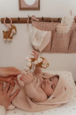 Ring Rangle Fairy Garden