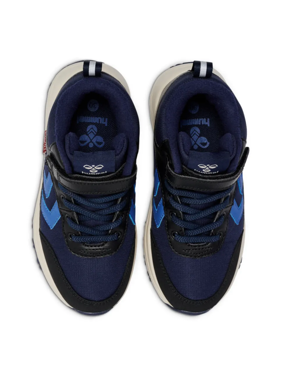 Root Tex Jr - Dutch blue