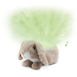 RUBY Musical Projector