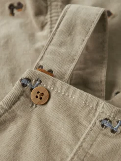 Ryan Overall - Island Fossil