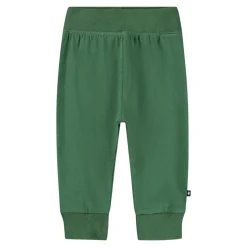 Sammy Bukser - Pine tree