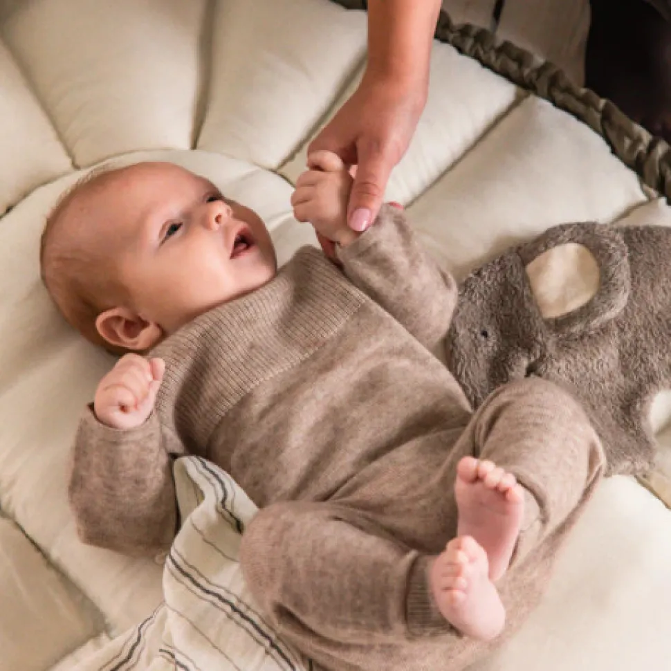 Sebra lift med kaleche - Dark olive