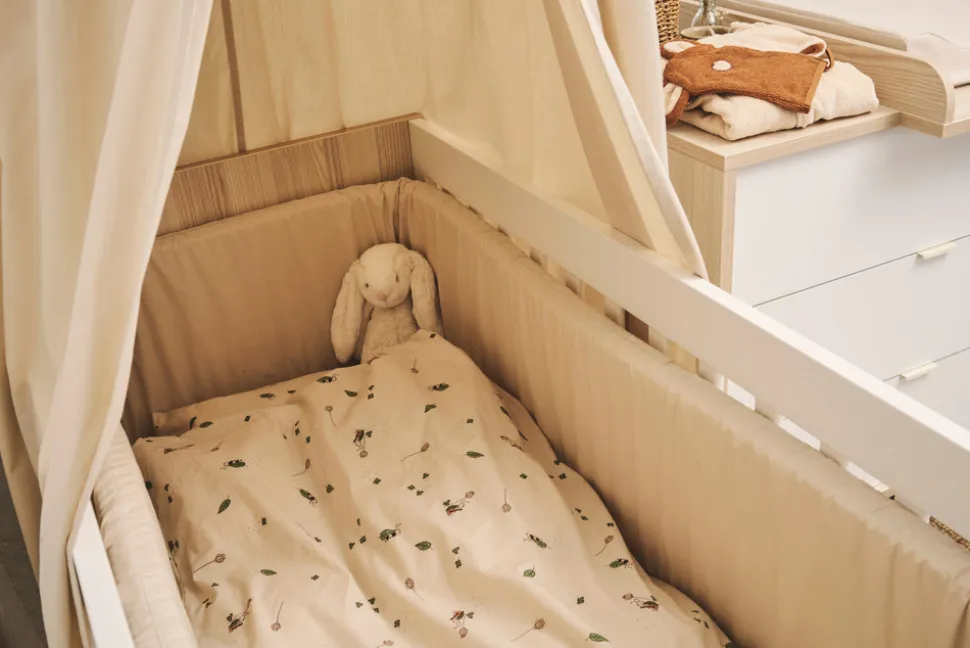 Sengerand - Ancient Scroll