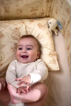 Sengerand - Dreamy Adventurers