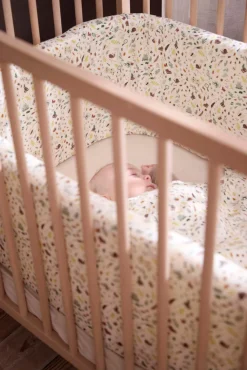 Sengerand - Little Wonders