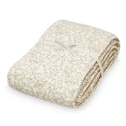 Sengerand - OCS lierre