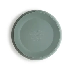 Silicone Plate (Cambridge Blue)