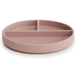 Silicone Plate(Blush)