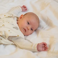 Sovepose 6-18 måneder - Dreamily