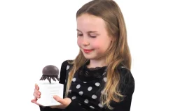 Stjernetegn, vandmanden