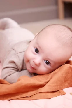 Stofble - Amber Brown