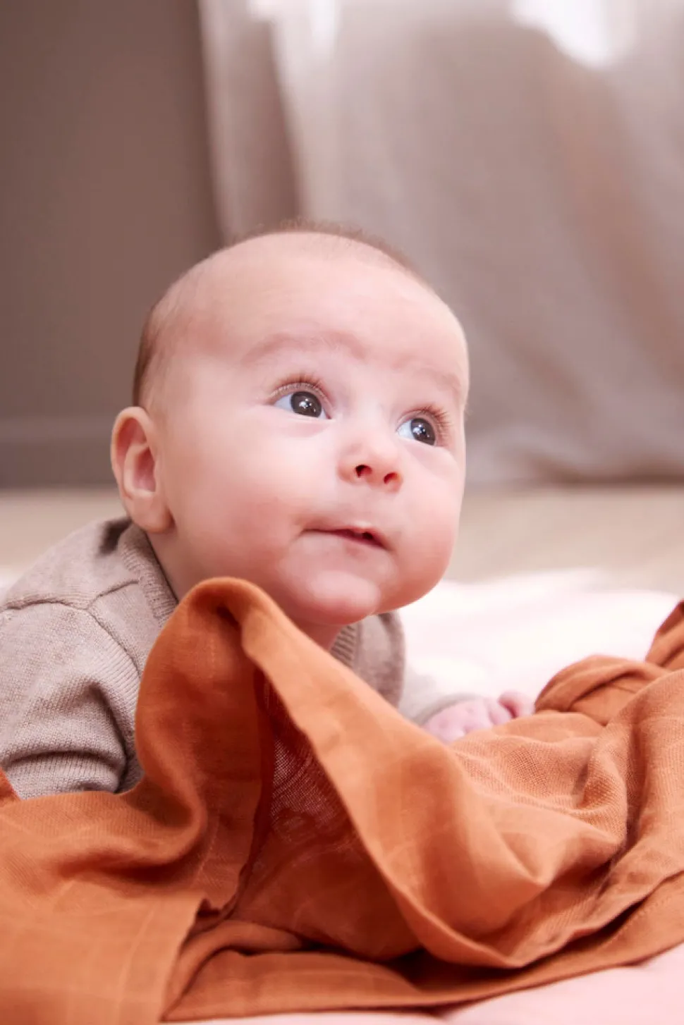 Stofble - Amber Brown