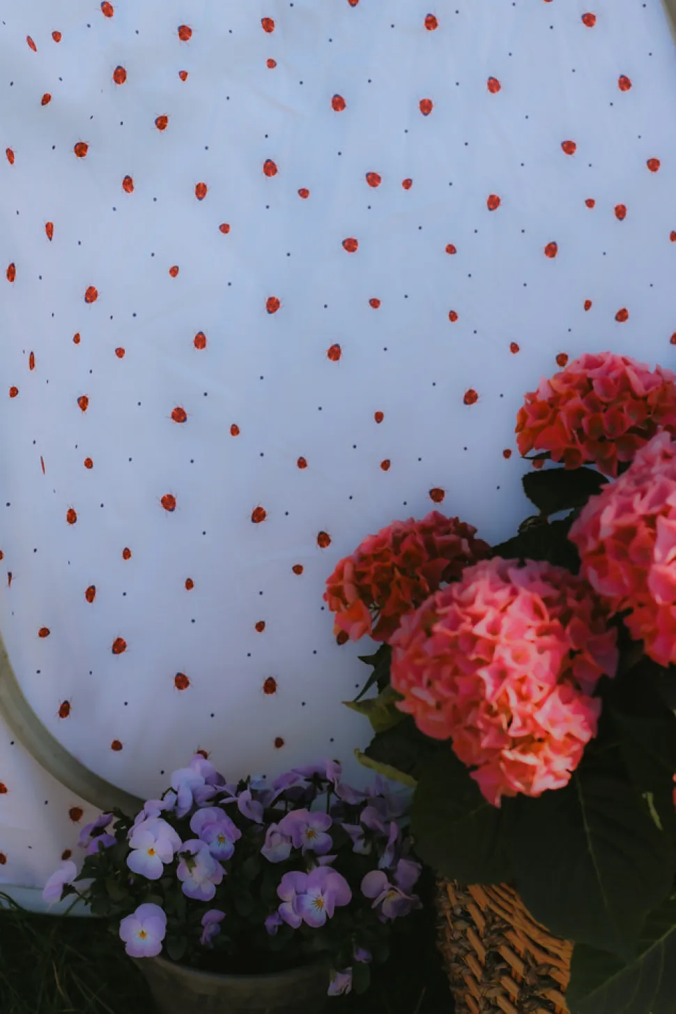 Strandtelt Classic - Pop Up - Lady Lovebug- UV50+