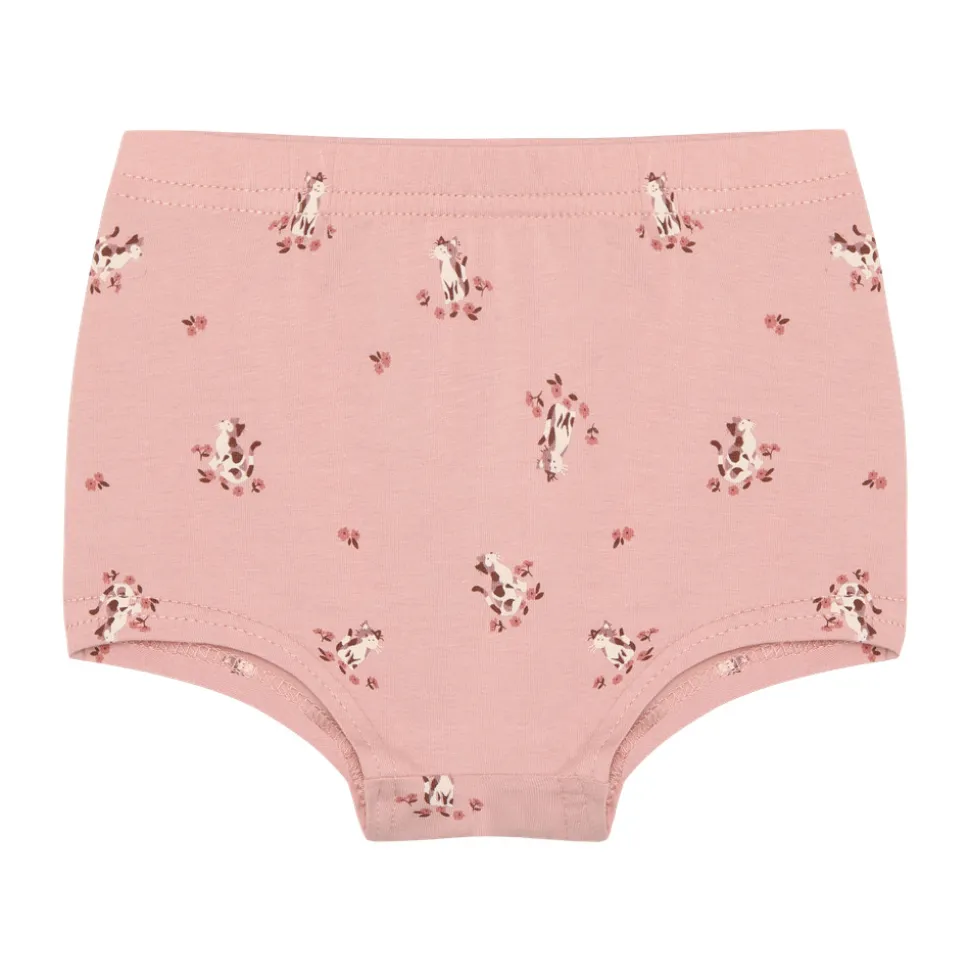 Trusser - 3 pak - Misty Rose