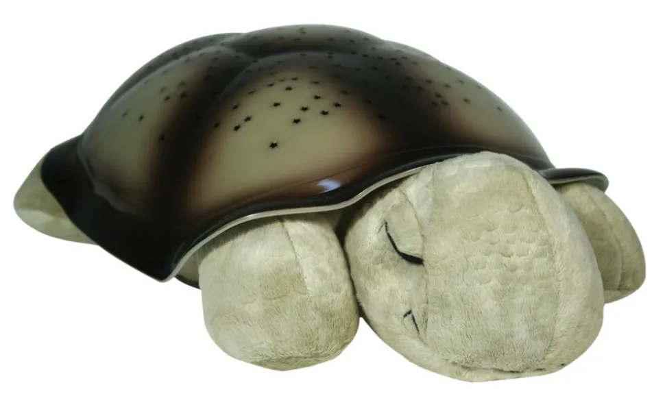 Twilight Turtle, Mocha