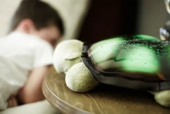 Twilight Turtle, Mocha