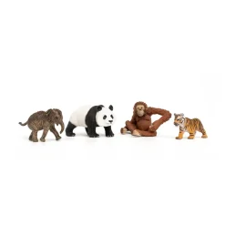 Wild Life "Asia" Starter Set