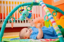 Wild Wiggles FoldAway Aktivitetstæppe