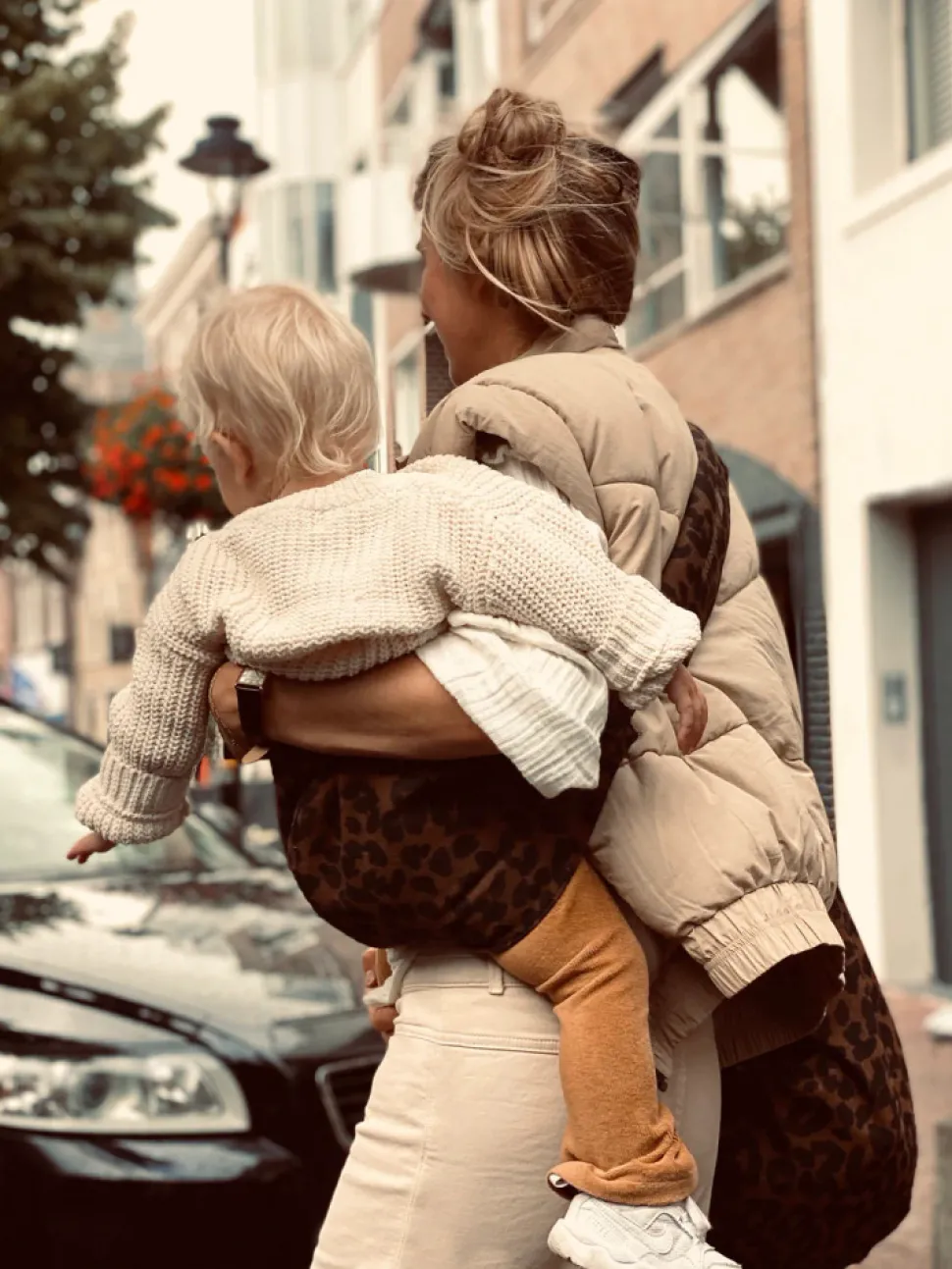 Wildride - Brown Leopard